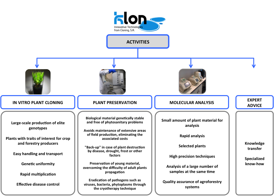 activities klon